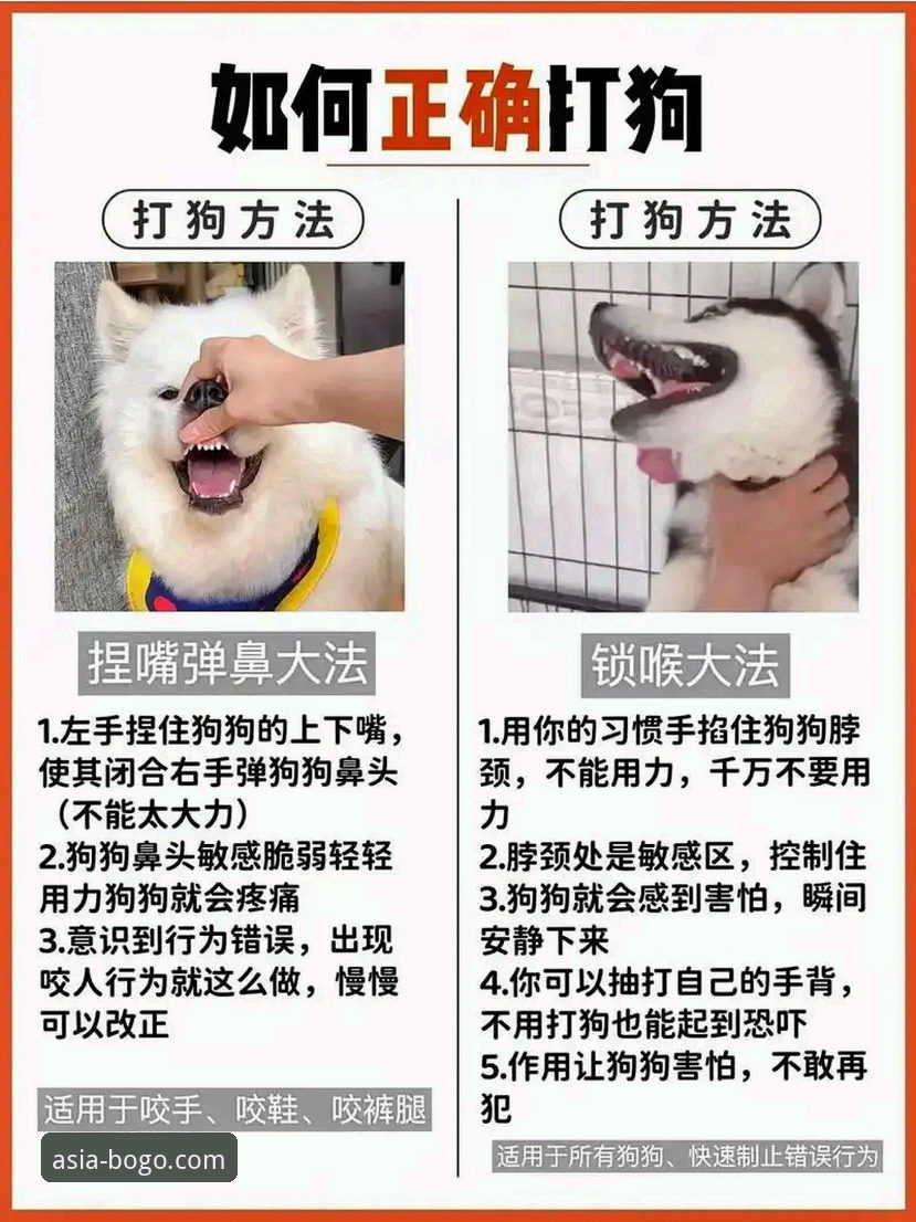 博狗使用教程安全吗 vs. 潜在风险：一个深度思考者的全面剖析